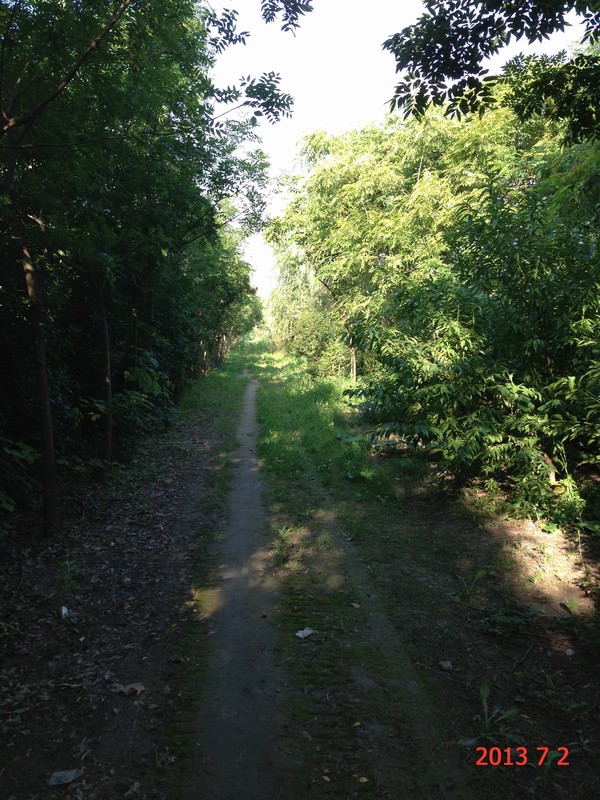 南通錦繡河山苗木7月份最新動態(tài)